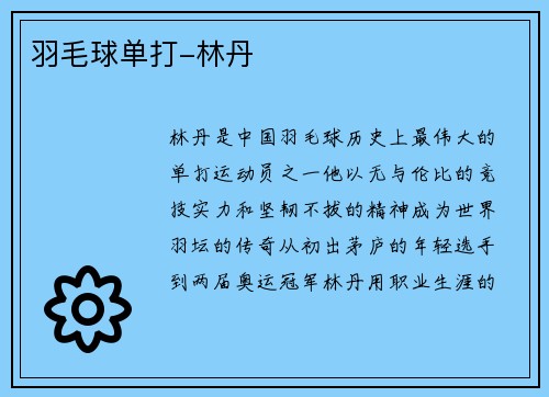羽毛球单打-林丹