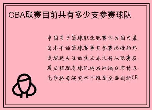 CBA联赛目前共有多少支参赛球队